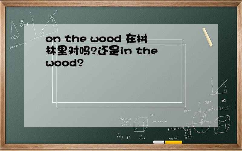 on the wood 在树林里对吗?还是in the wood?