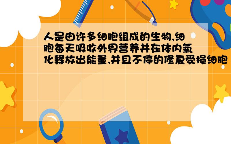 人是由许多细胞组成的生物,细胞每天吸收外界营养并在体内氧化释放出能量,并且不停的修复受损细胞