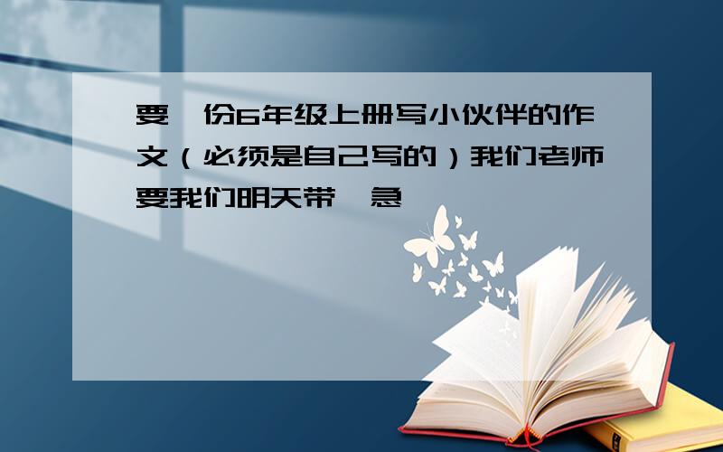 要一份6年级上册写小伙伴的作文（必须是自己写的）我们老师要我们明天带,急