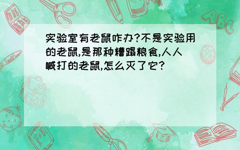 实验室有老鼠咋办?不是实验用的老鼠,是那种糟蹋粮食,人人喊打的老鼠,怎么灭了它?