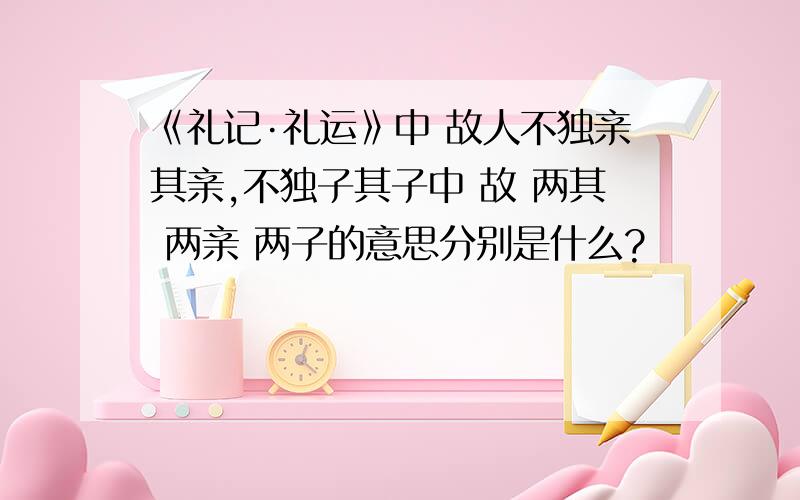 《礼记·礼运》中 故人不独亲其亲,不独子其子中 故 两其 两亲 两子的意思分别是什么?