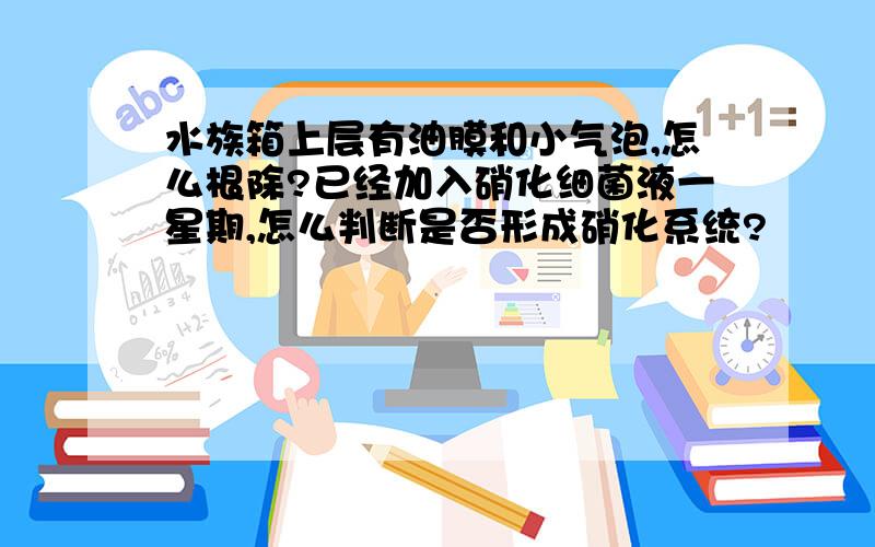 水族箱上层有油膜和小气泡,怎么根除?已经加入硝化细菌液一星期,怎么判断是否形成硝化系统?