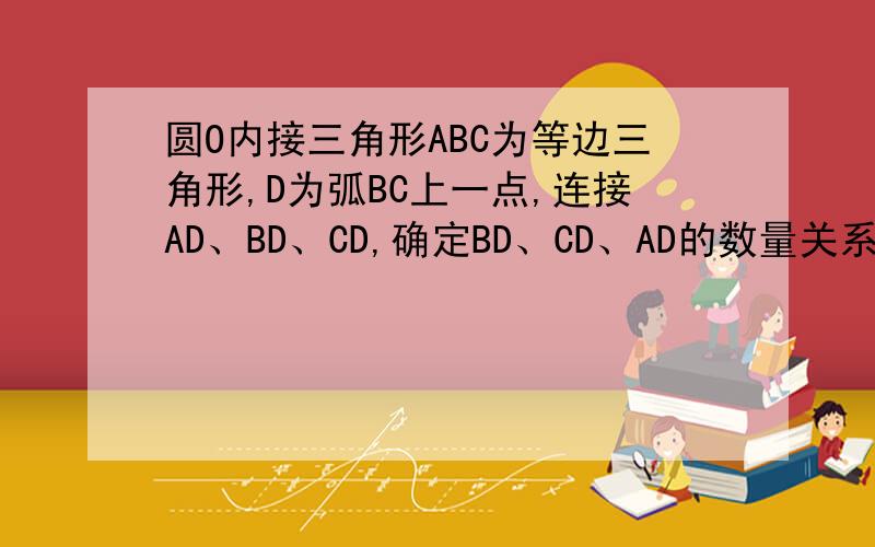 圆O内接三角形ABC为等边三角形,D为弧BC上一点,连接AD、BD、CD,确定BD、CD、AD的数量关系,并证明