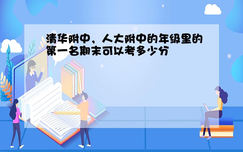 清华附中，人大附中的年级里的第一名期末可以考多少分