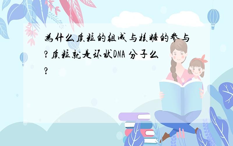 为什么质粒的组成与核糖的参与?质粒就是环状DNA 分子么?