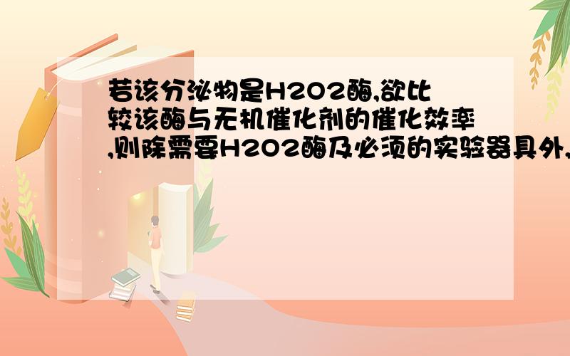 若该分泌物是H2O2酶,欲比较该酶与无机催化剂的催化效率,则除需要H2O2酶及必须的实验器具外,