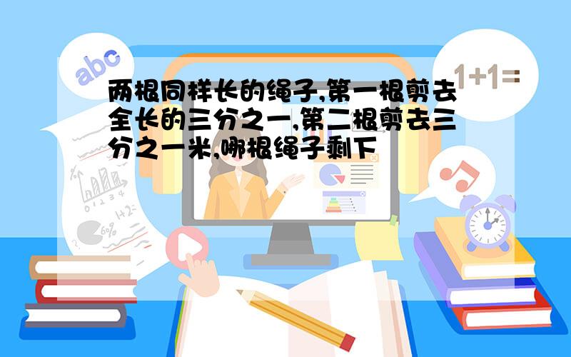 两根同样长的绳子,第一根剪去全长的三分之一,第二根剪去三分之一米,哪根绳子剩下