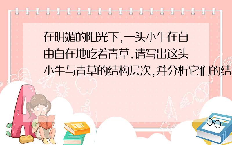 在明媚的阳光下,一头小牛在自由自在地吃着青草.请写出这头小牛与青草的结构层次,并分析它们的结构层