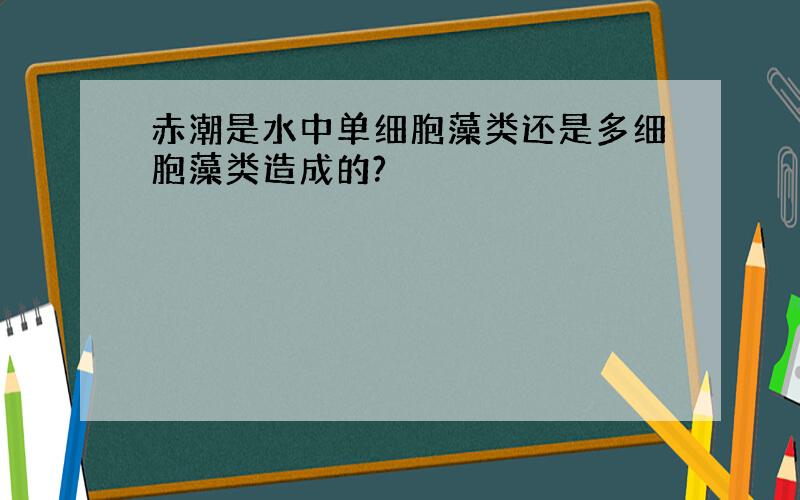 赤潮是水中单细胞藻类还是多细胞藻类造成的?