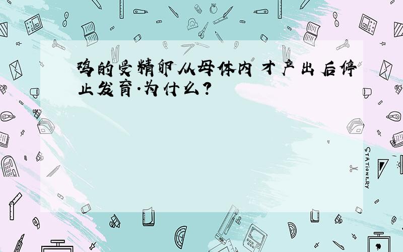 鸡的受精卵从母体内才产出后停止发育.为什么?