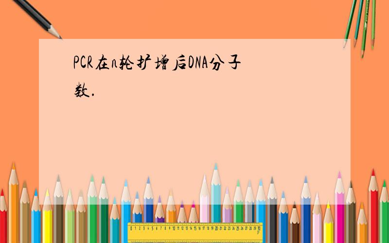 PCR在n轮扩增后DNA分子数.