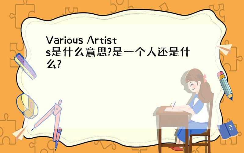 Various Artists是什么意思?是一个人还是什么?