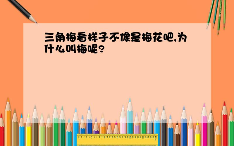 三角梅看样子不像是梅花吧,为什么叫梅呢?