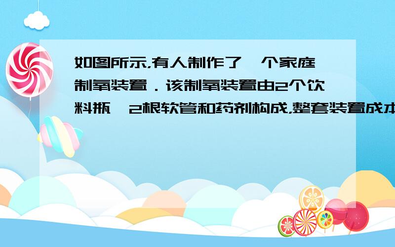 如图所示，有人制作了一个家庭制氧装置．该制氧装置由2个饮料瓶、2根软管和药剂构成，整套装置成本不到3块钱．药剂包括过氧碳