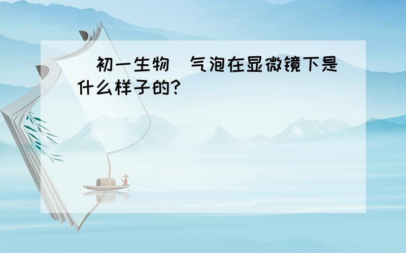 (初一生物）气泡在显微镜下是什么样子的?