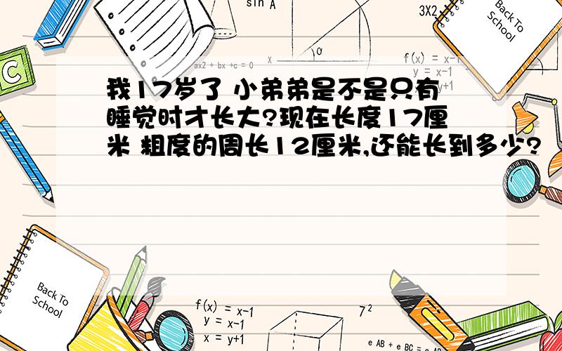 我17岁了 小弟弟是不是只有睡觉时才长大?现在长度17厘米 粗度的周长12厘米,还能长到多少?