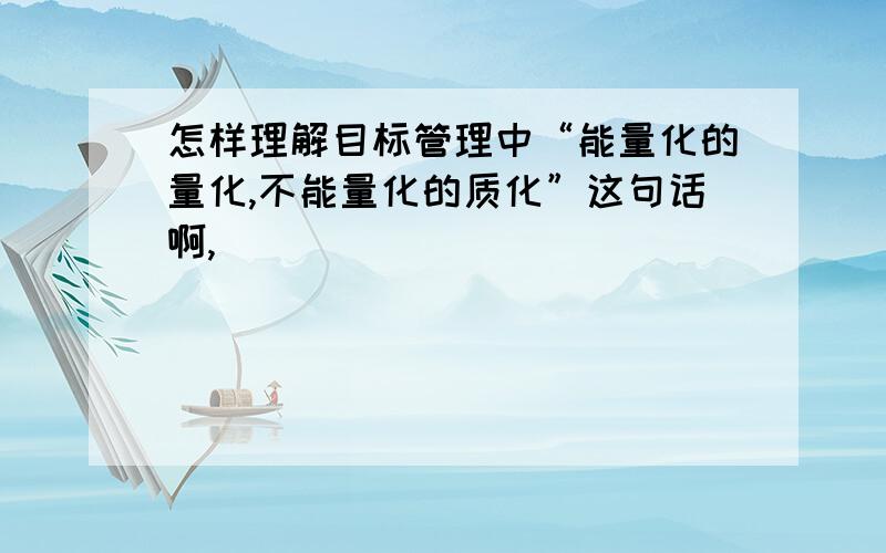 怎样理解目标管理中“能量化的量化,不能量化的质化”这句话啊,