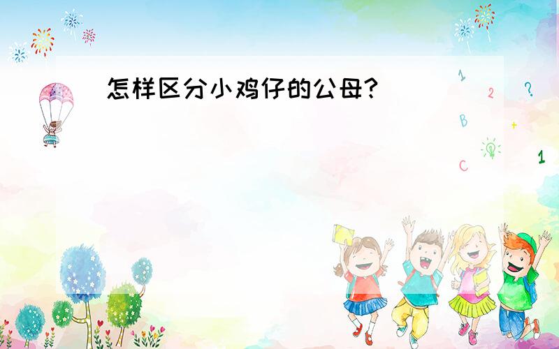 怎样区分小鸡仔的公母?