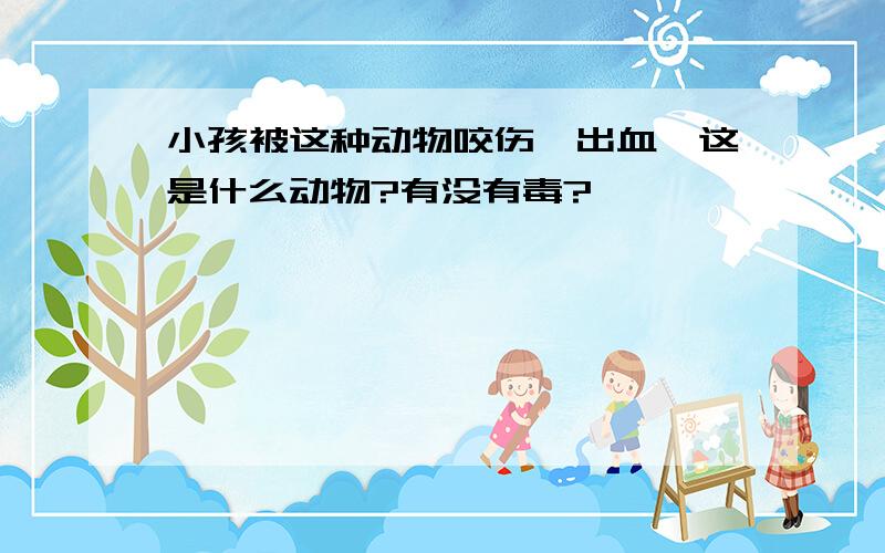 小孩被这种动物咬伤,出血,这是什么动物?有没有毒?