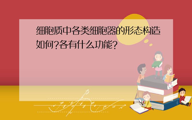 细胞质中各类细胞器的形态构造如何?各有什么功能?