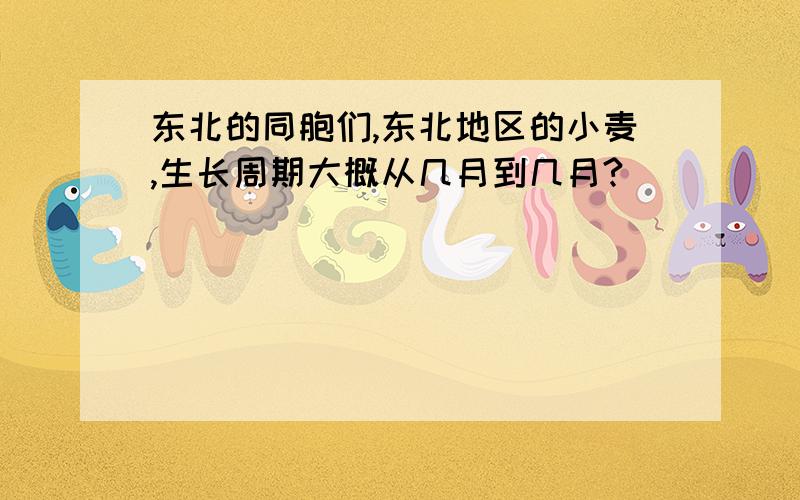 东北的同胞们,东北地区的小麦,生长周期大概从几月到几月?