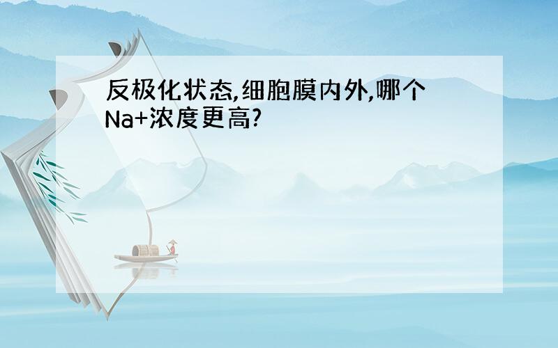 反极化状态,细胞膜内外,哪个Na+浓度更高?