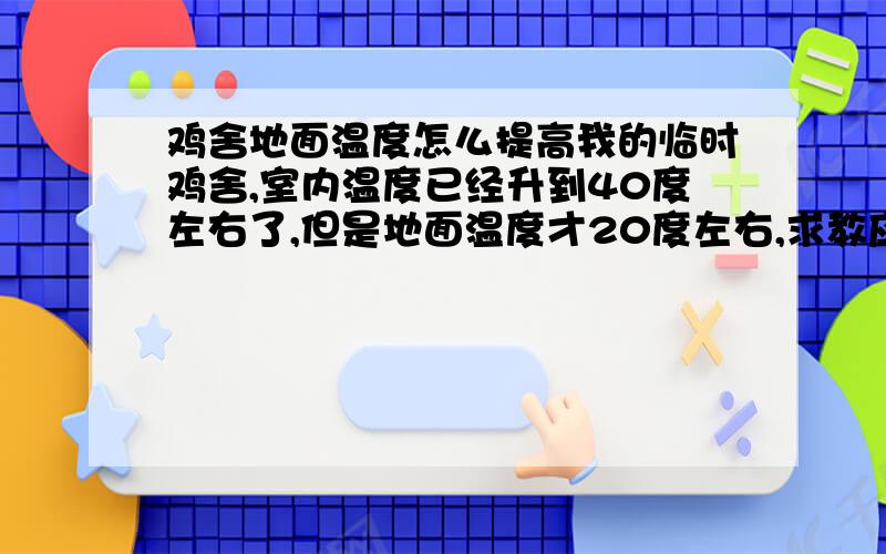 鸡舍地面温度怎么提高我的临时鸡舍,室内温度已经升到40度左右了,但是地面温度才20度左右,求教应该怎么办.因为是临时的,