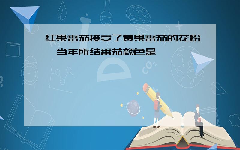 红果番茄接受了黄果番茄的花粉,当年所结番茄颜色是