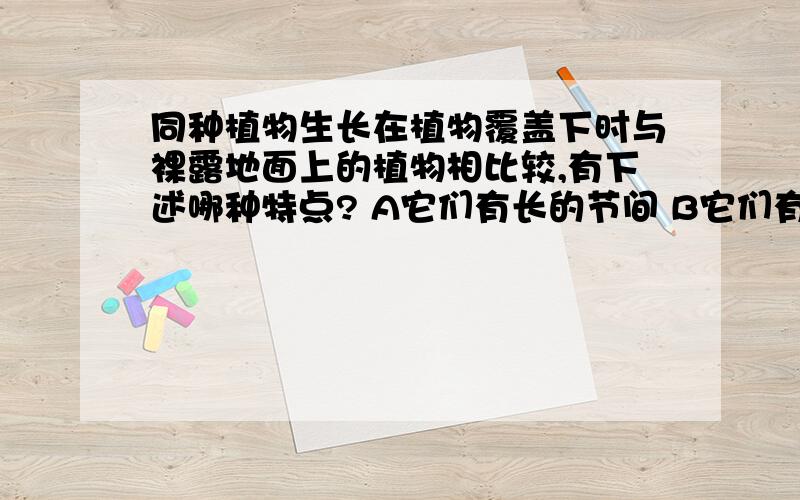 同种植物生长在植物覆盖下时与裸露地面上的植物相比较,有下述哪种特点? A它们有长的节间 B它们有短的节