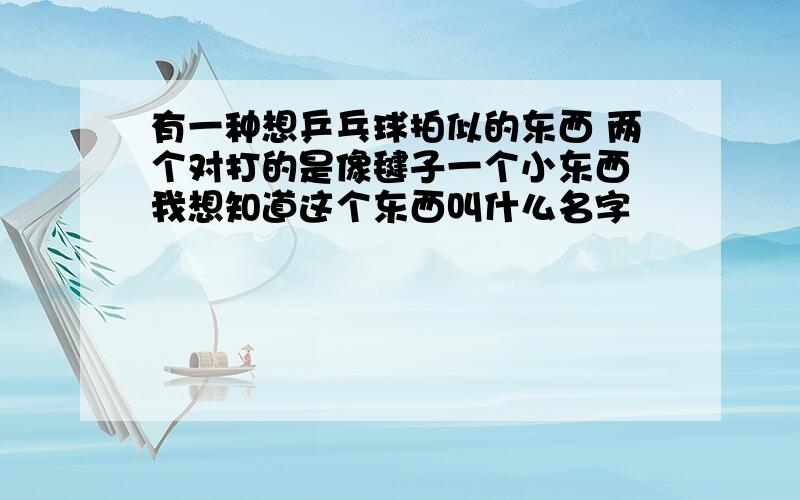 有一种想乒乓球拍似的东西 两个对打的是像毽子一个小东西 我想知道这个东西叫什么名字