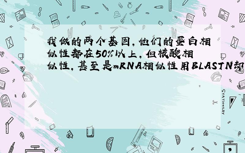 我做的两个基因,他们的蛋白相似性都在50%以上,但核酸相似性,甚至是mRNA相似性用BLASTN却比对不上,这说