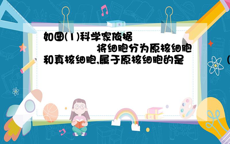 如图(1)科学家依据　　　　　　　　　将细胞分为原核细胞和真核细胞,属于原核细胞的是　　　　(填标号).