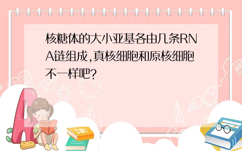 核糖体的大小亚基各由几条RNA链组成,真核细胞和原核细胞不一样吧?