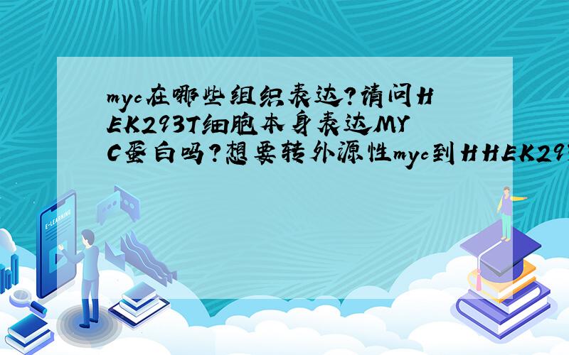 myc在哪些组织表达?请问HEK293T细胞本身表达MYC蛋白吗?想要转外源性myc到HHEK293T细胞中,