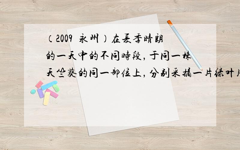 （2009•永州）在夏季晴朗的一天中的不同时段，于同一株天竺葵的同一部位上，分别采摘一片绿叶用下表的方式进行处理，最终染