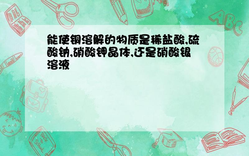 能使铜溶解的物质是稀盐酸,硫酸钠,硝酸钾晶体,还是硝酸银溶液