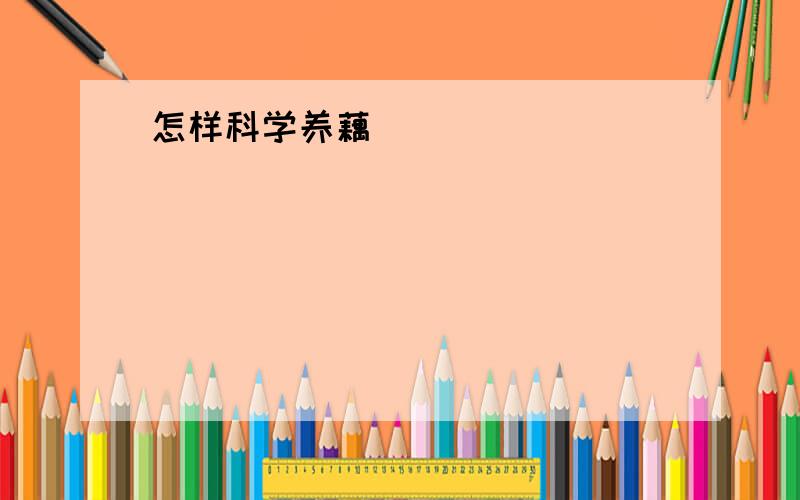 怎样科学养藕