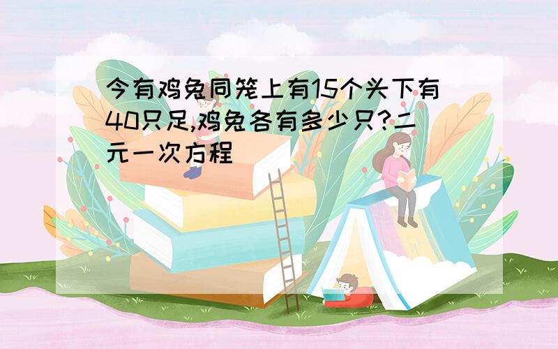 今有鸡兔同笼上有15个头下有40只足,鸡兔各有多少只?二元一次方程