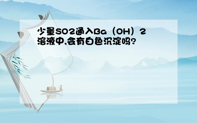 少量SO2通入Ba（OH）2溶液中,会有白色沉淀吗?