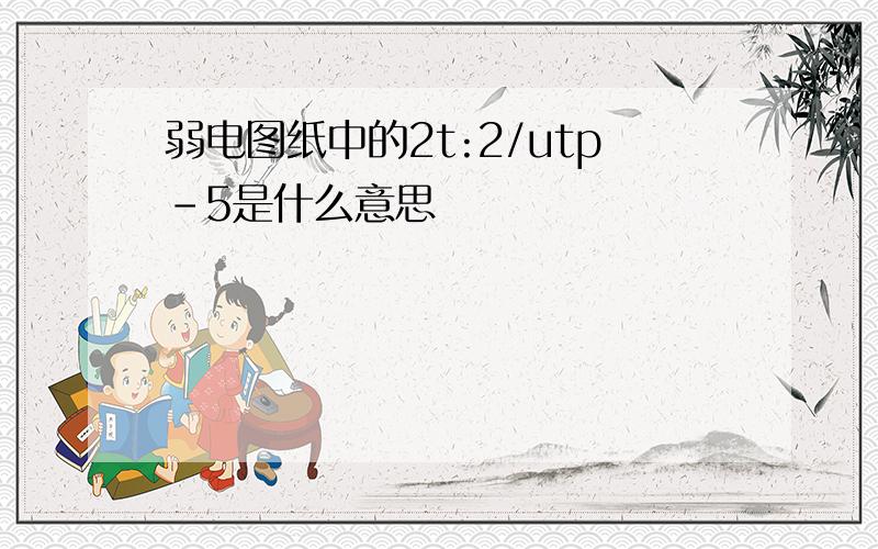 弱电图纸中的2t:2/utp-5是什么意思