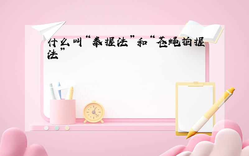 什么叫“拳握法”和“苍蝇拍握法”