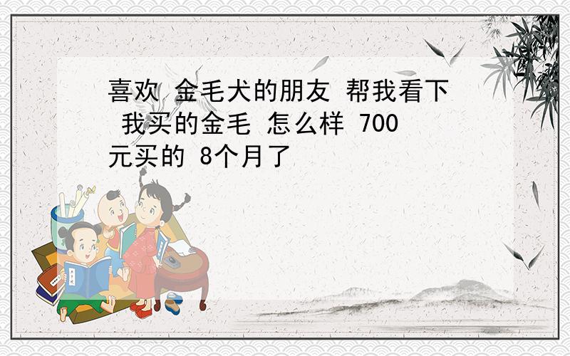 喜欢 金毛犬的朋友 帮我看下 我买的金毛 怎么样 700元买的 8个月了