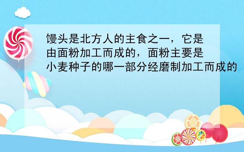 馒头是北方人的主食之一，它是由面粉加工而成的，面粉主要是小麦种子的哪一部分经磨制加工而成的（　　）