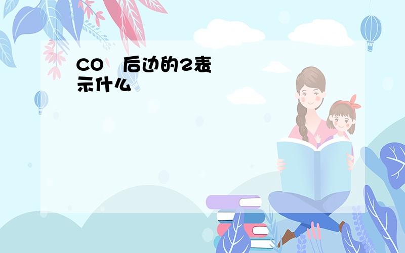 CO₂后边的2表示什么