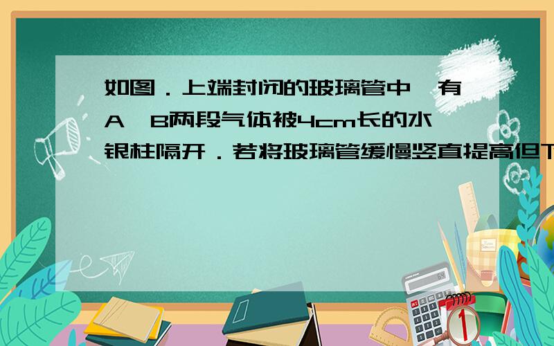 如图．上端封闭的玻璃管中,有A、B两段气体被4cm长的水银柱隔开．若将玻璃管缓慢竖直提高但下端不离开液面,则