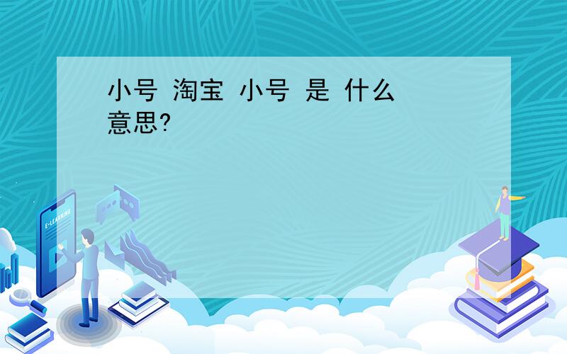 小号 淘宝 小号 是 什么 意思?