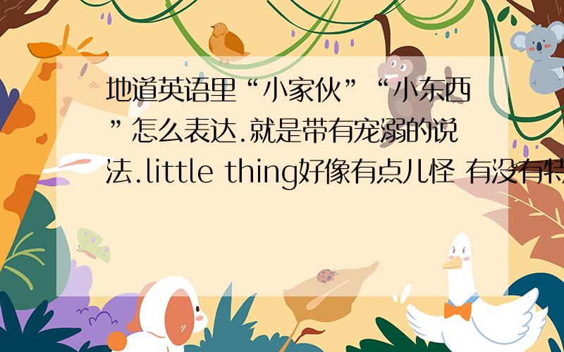 地道英语里“小家伙”“小东西”怎么表达.就是带有宠溺的说法.little thing好像有点儿怪 有没有特别地道的还能表