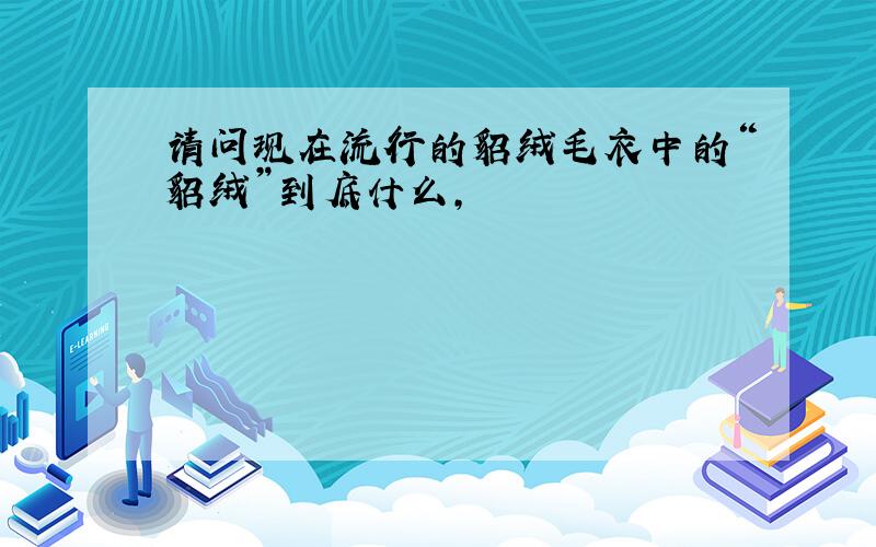 请问现在流行的貂绒毛衣中的“貂绒”到底什么,