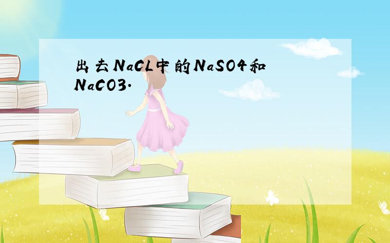 出去NaCL中的NaSO4和NaCO3.