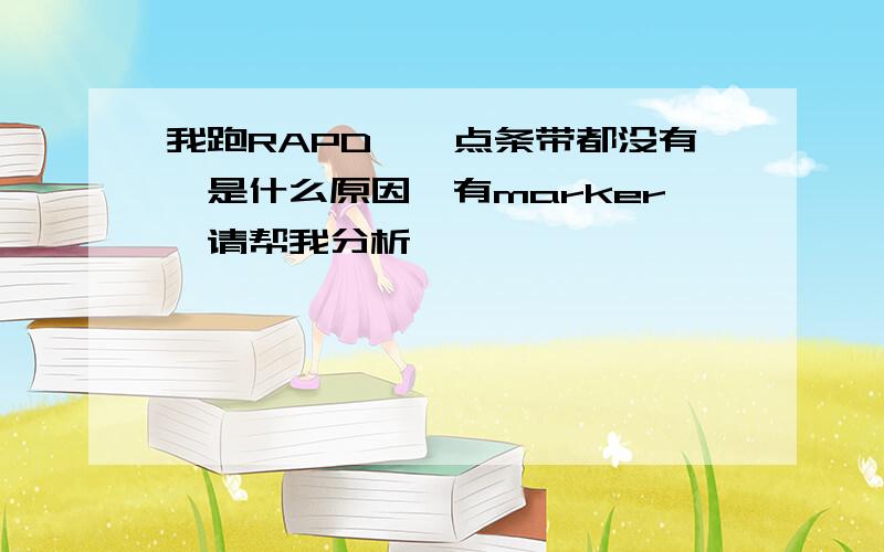 我跑RAPD,一点条带都没有,是什么原因,有marker,请帮我分析